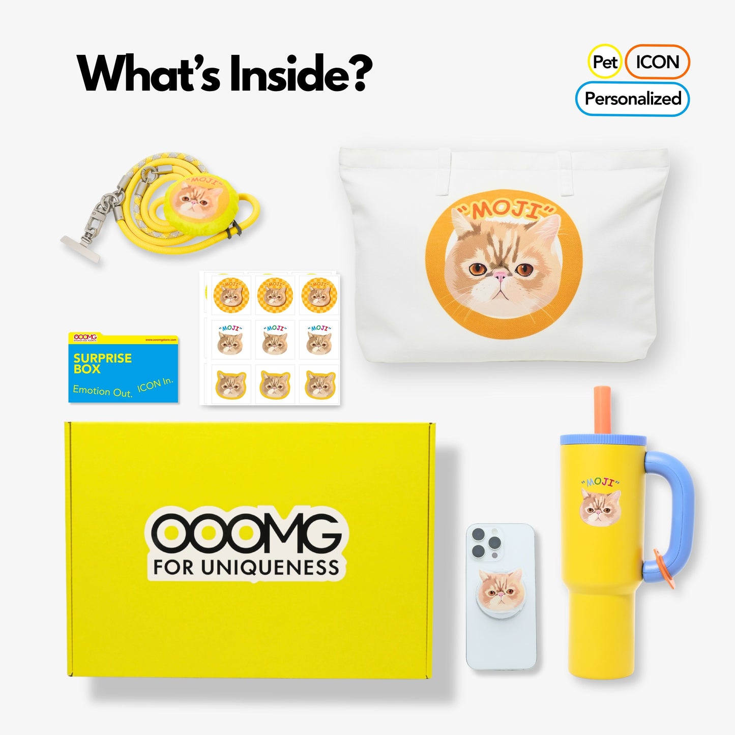 Custom Gift Set for Pets Box A - “Urban Nomad Kit”