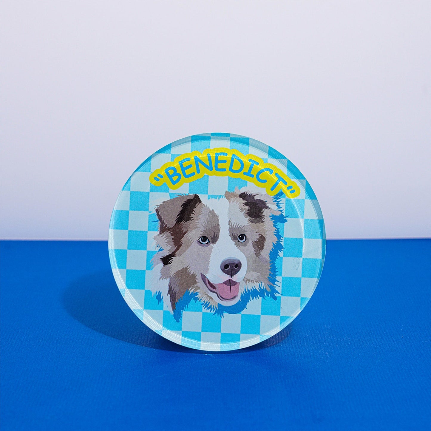 Customizable Acrylic Magnetic Fridge Sticker for Pets - OOOMG