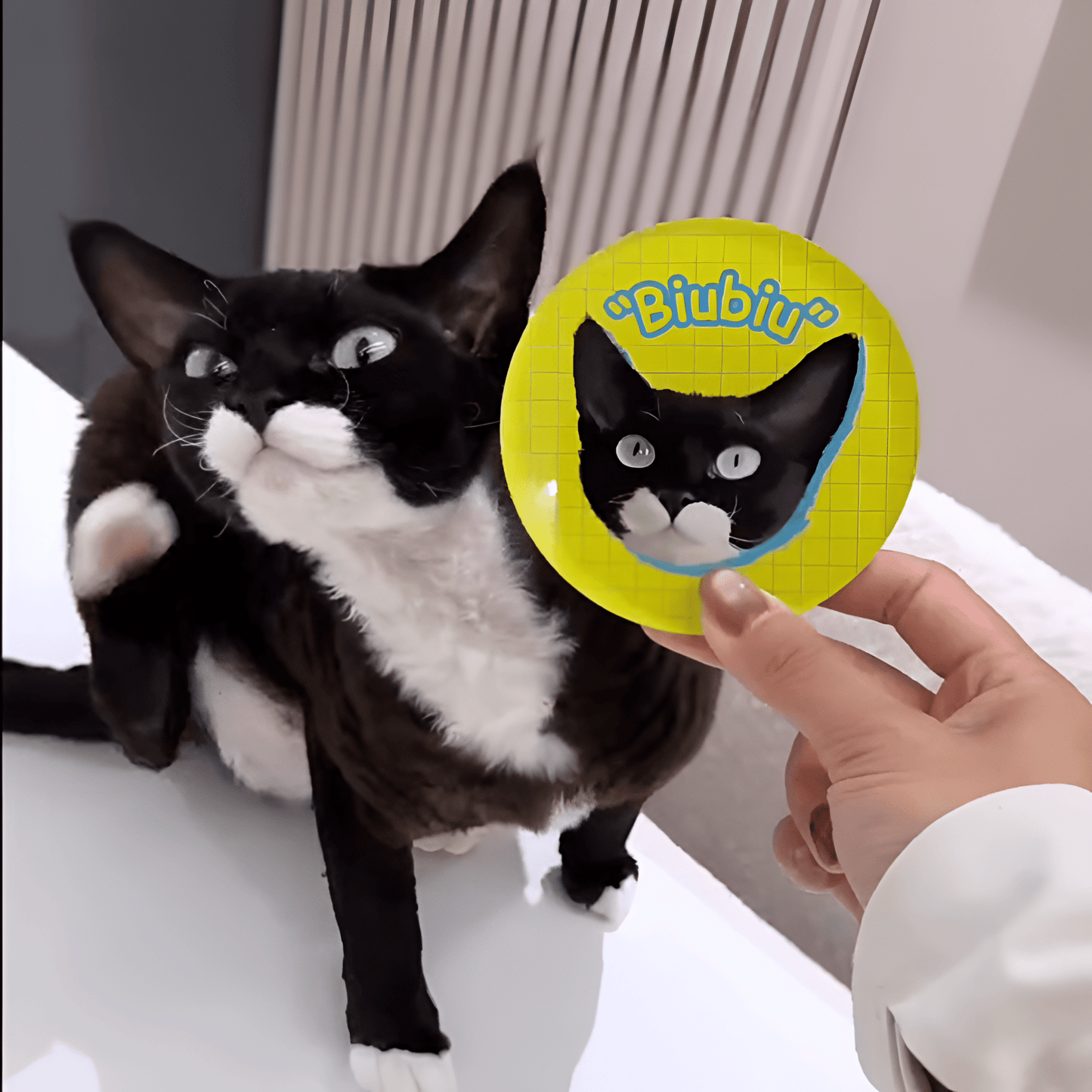 Customizable Acrylic Magnetic Fridge Sticker for Pets - OOOMG