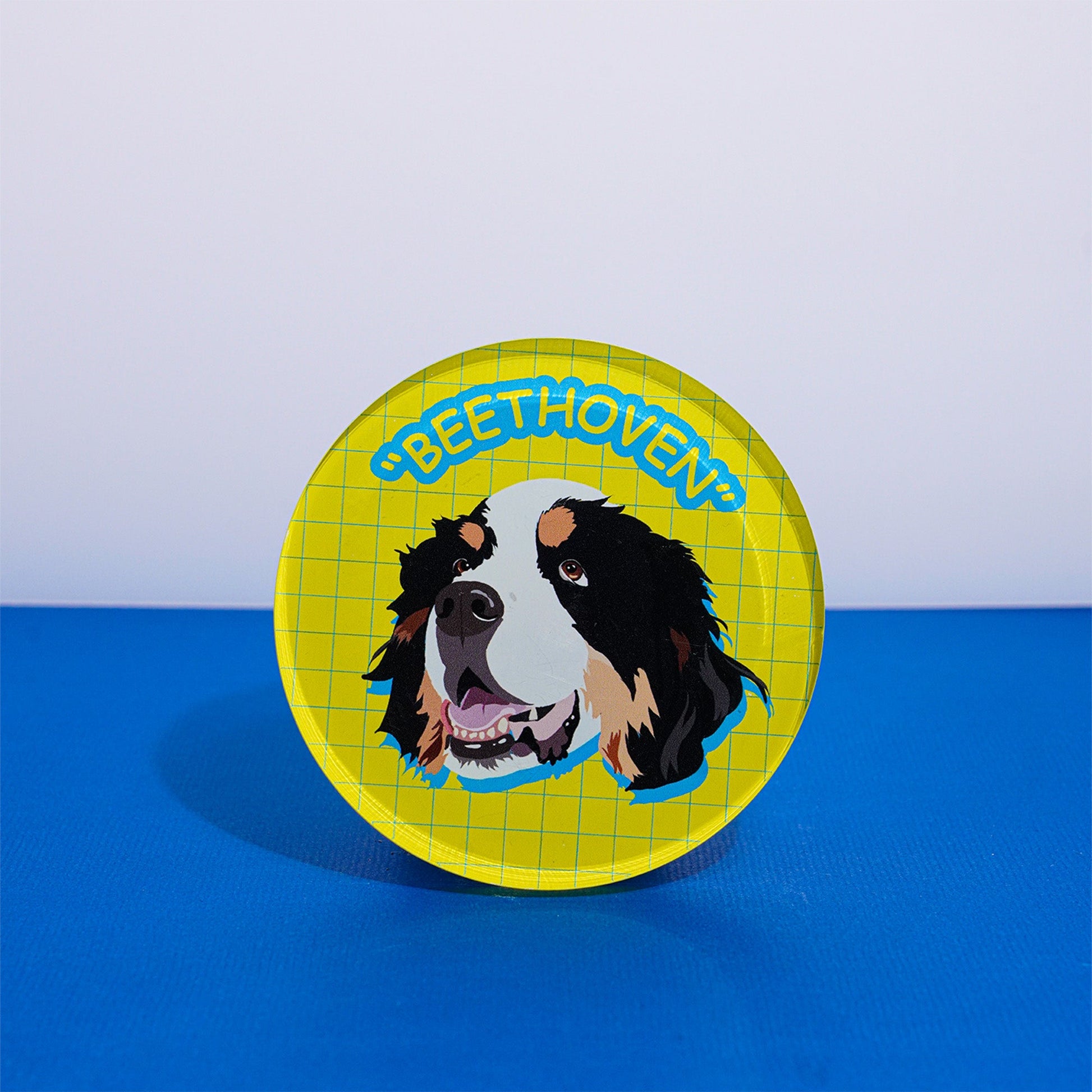 Customizable Acrylic Magnetic Fridge Sticker for Pets - OOOMG