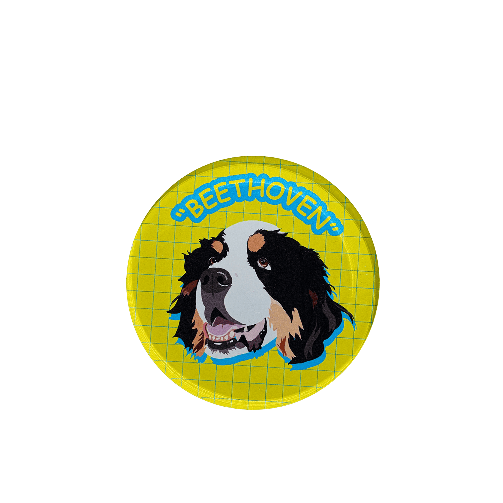 Customizable Acrylic Magnetic Fridge Sticker for Pets - OOOMG