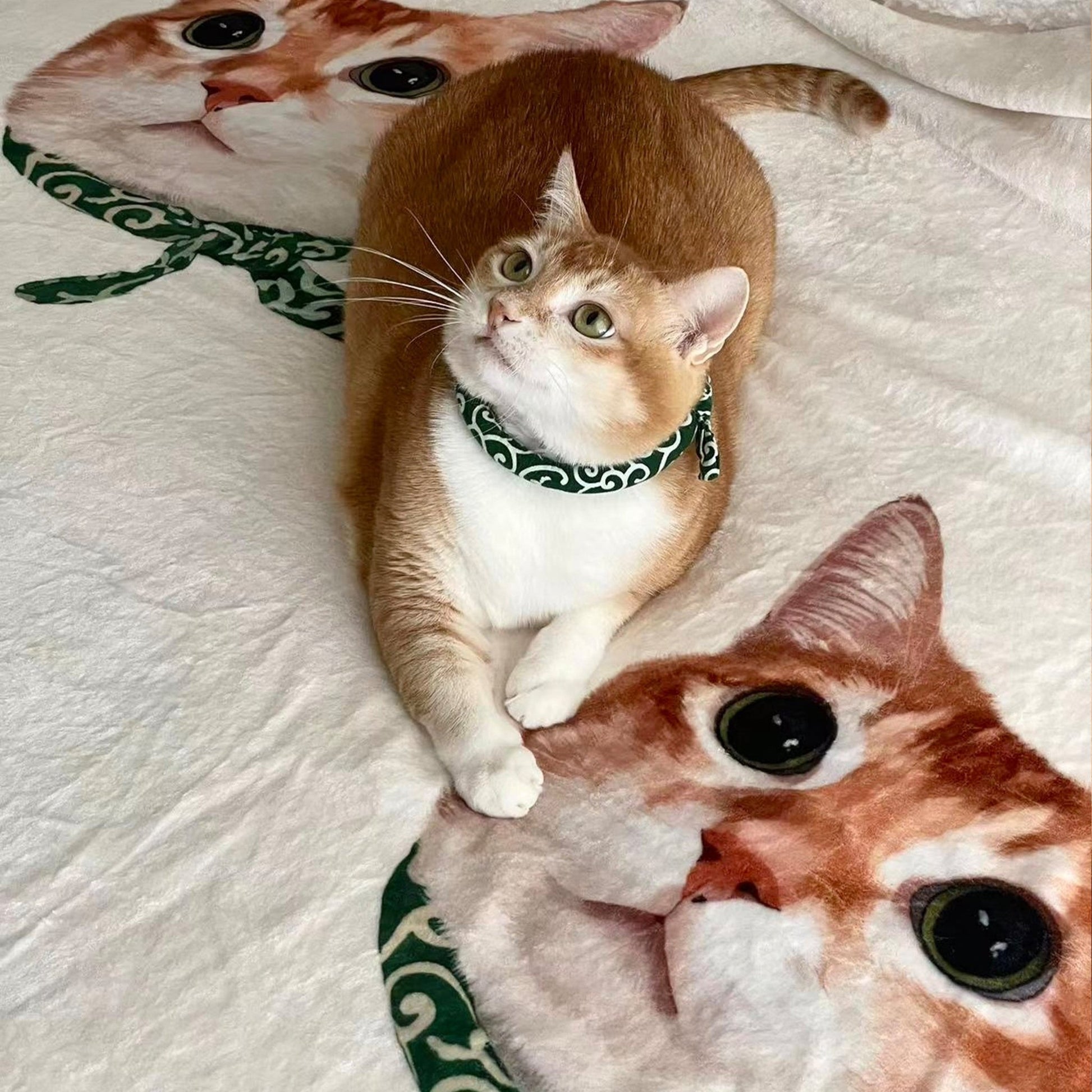 Pet custom blanket double layer lamb wool cover blanket sofa blanket cat dog creative gifts - OOOMG