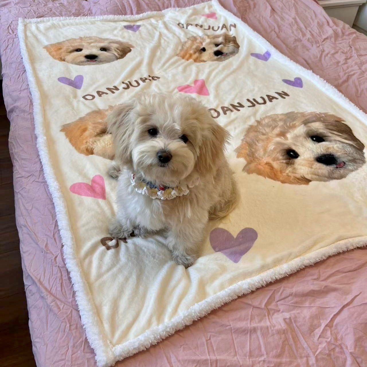 Pet custom blanket double layer lamb wool cover blanket sofa blanket cat dog creative gifts - OOOMG