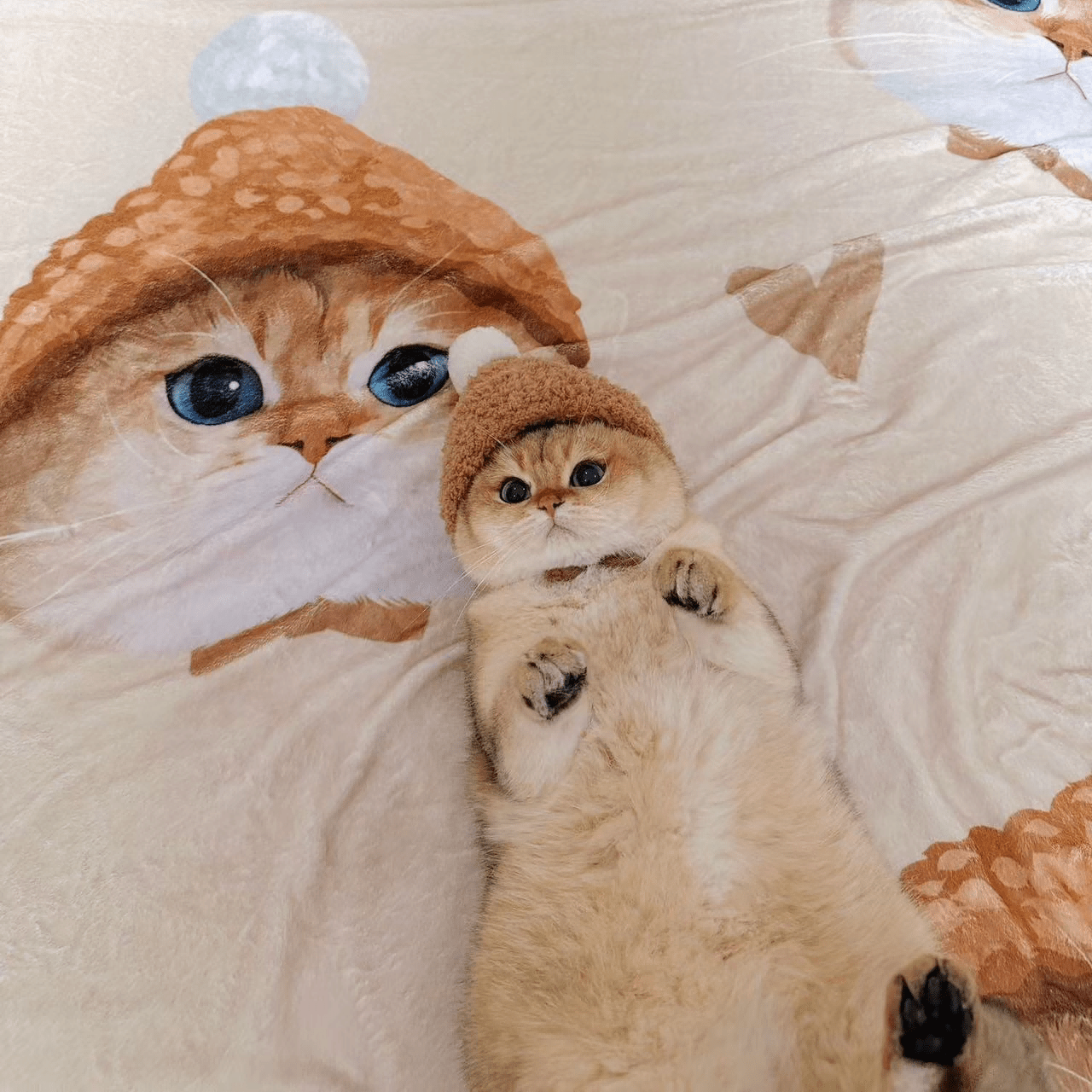 Pet custom blanket double layer lamb wool cover blanket sofa blanket cat dog creative gifts - OOOMG