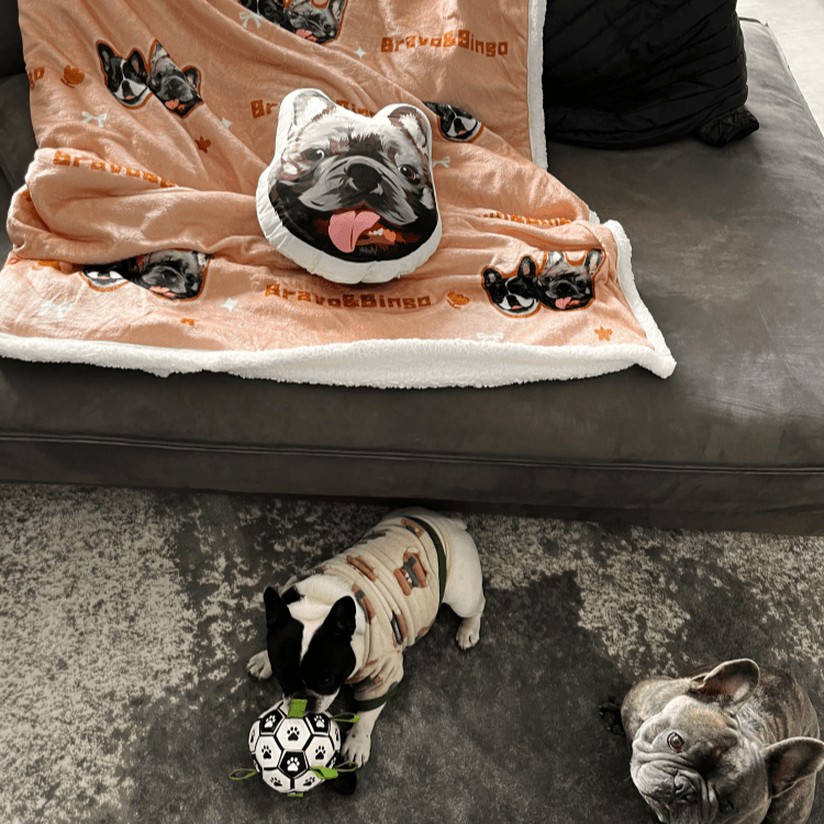 Pet custom blanket double layer lamb wool cover blanket sofa blanket cat dog creative gifts - OOOMG