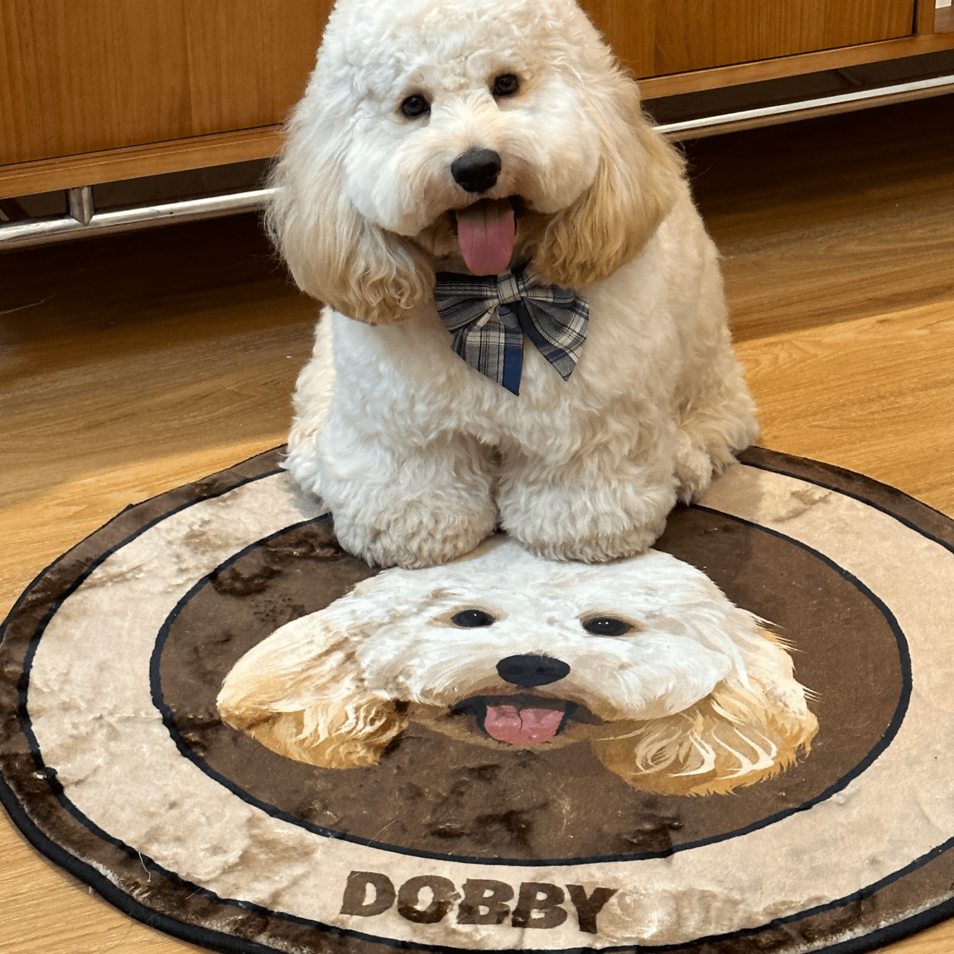 Pet custom carpet cat dog commemorative periphery light luxury milk velvet washable creative gifts - OOOMG