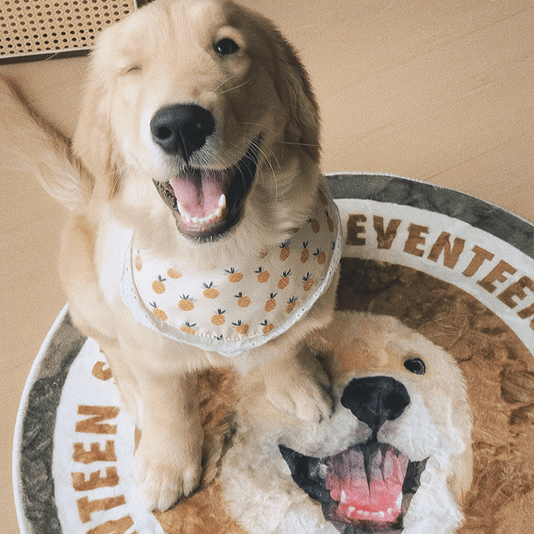 Pet custom carpet cat dog commemorative periphery light luxury milk velvet washable creative gifts - OOOMG