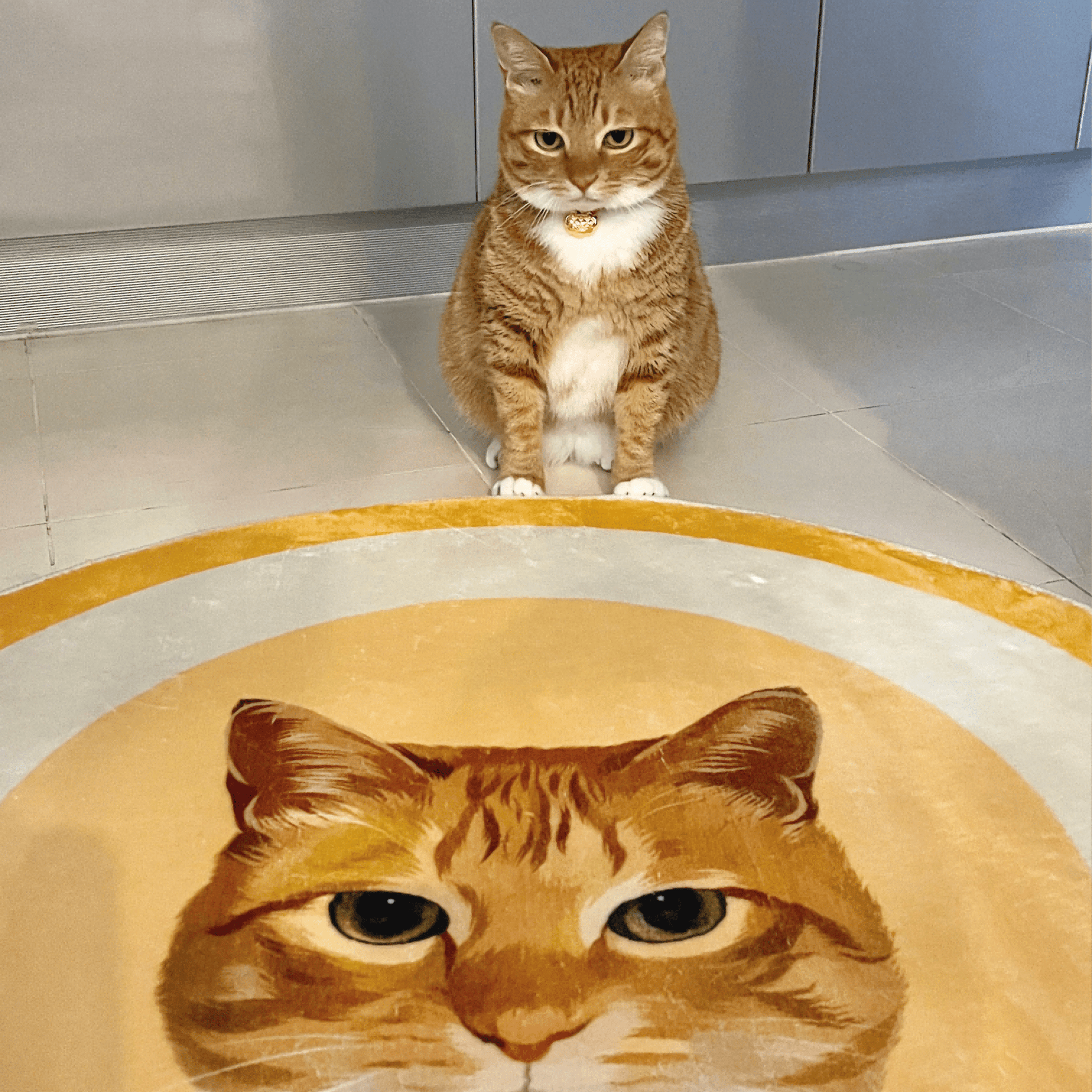 Pet custom carpet cat dog commemorative periphery light luxury milk velvet washable creative gifts - OOOMG