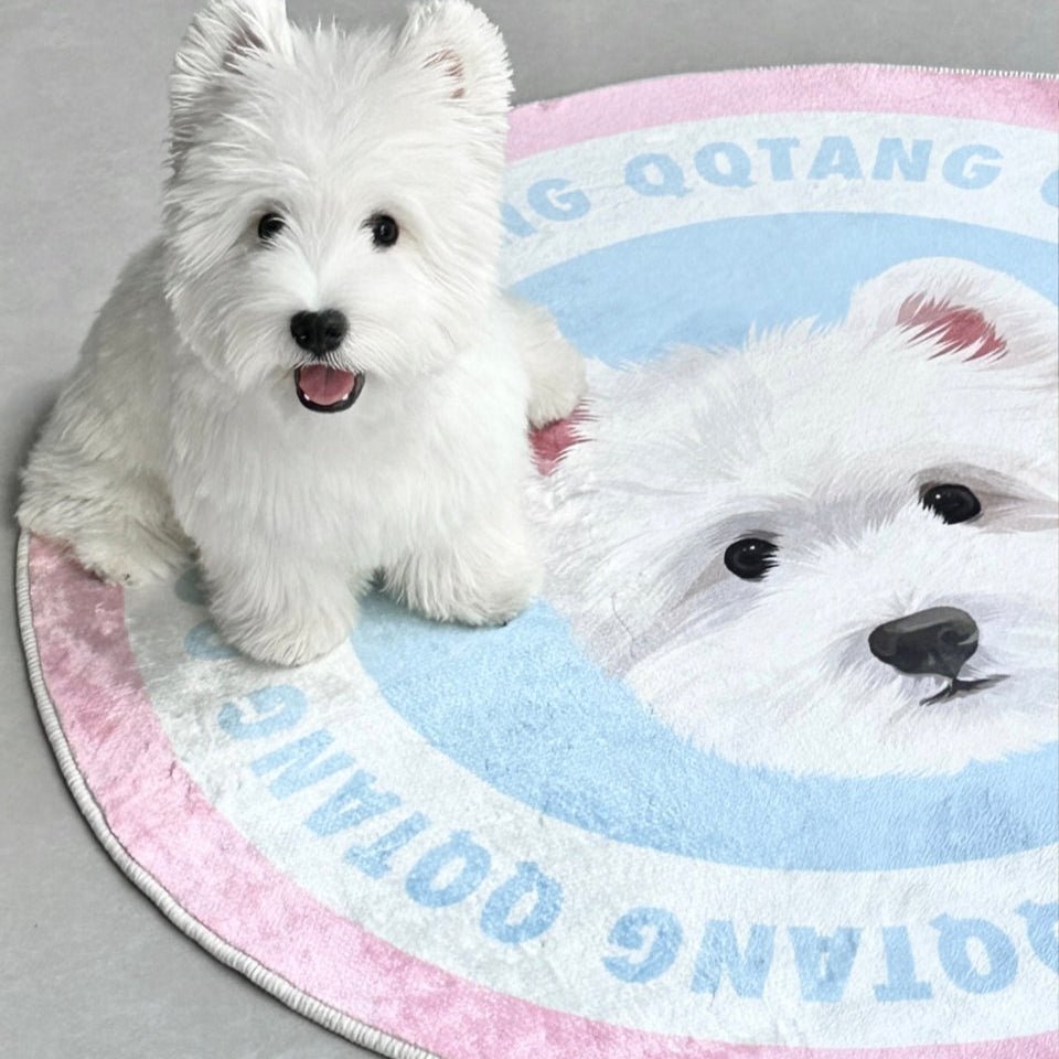 Pet custom carpet cat dog commemorative periphery light luxury milk velvet washable creative gifts - OOOMG