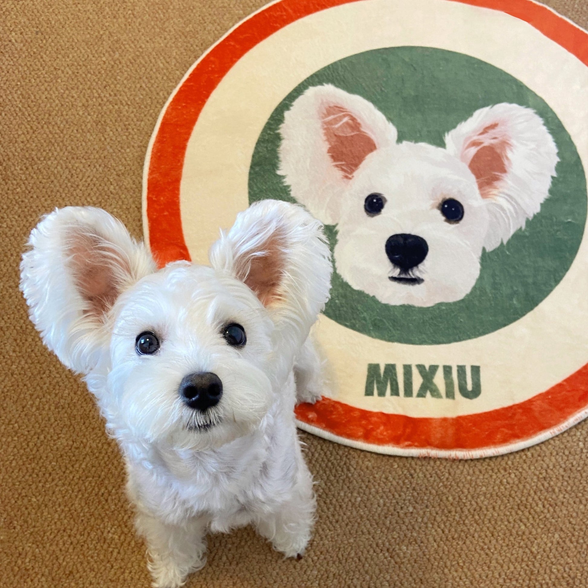 Pet custom carpet cat dog commemorative periphery light luxury milk velvet washable creative gifts - OOOMG