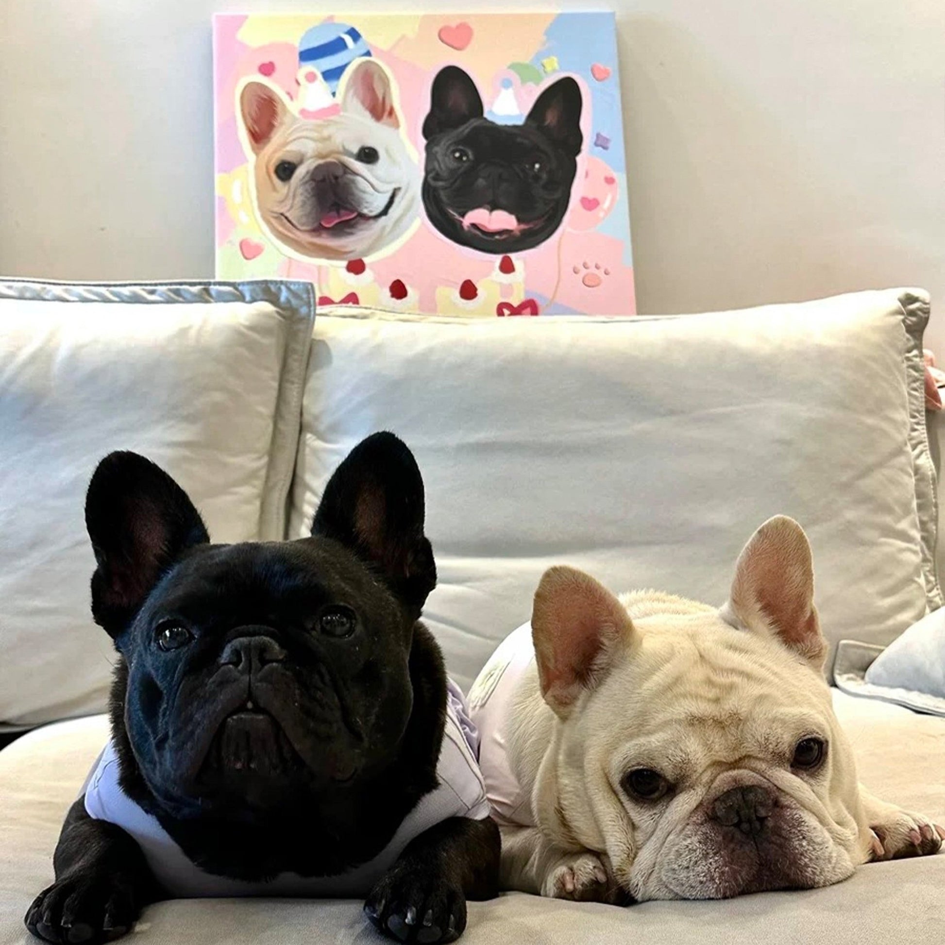 Pet custom decorative paintings, hanging paintings, murals, living room original designs, cats and dogs, creative gifts, waterproof microspray - OOOMG