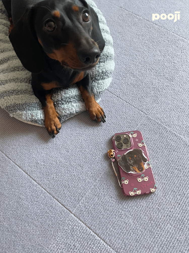 Pet custom mobile phone airbag holder handmade glue high transparency texture paste magnetic cat and dog gifts - OOOMG