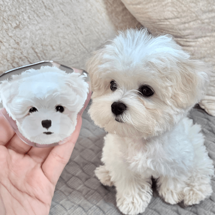 Pet custom mobile phone airbag holder handmade glue high transparency texture paste magnetic cat and dog gifts - OOOMG