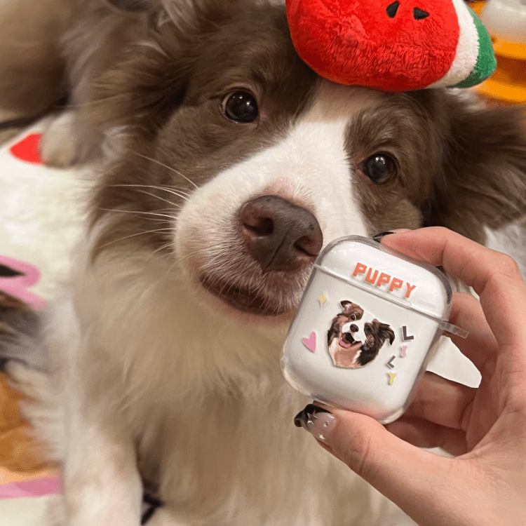 Pet custom peripheral gift original design airpods bluetooth headset protective case transparent cat dog - OOOMG