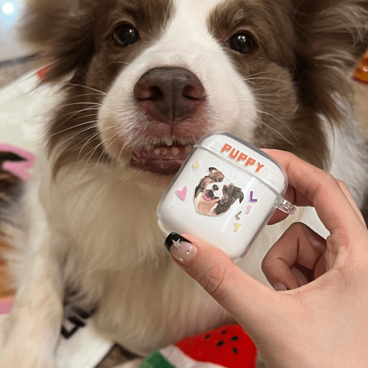 Pet custom peripheral gift original design airpods bluetooth headset protective case transparent cat dog - OOOMG