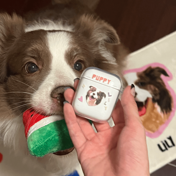 Pet custom peripheral gift original design airpods bluetooth headset protective case transparent cat dog - OOOMG