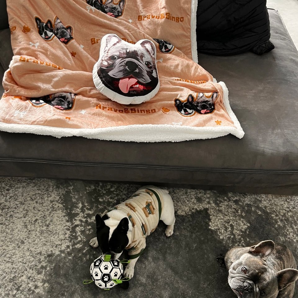 Pet custom peripheral pillow, irregular shape, cute double - sided original design, cat and dog gifts - OOOMG