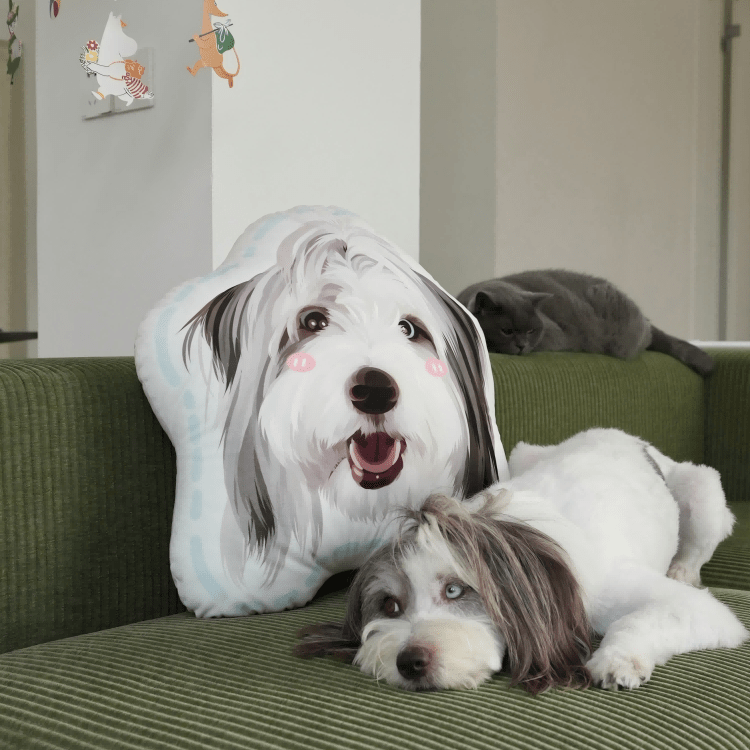 Pet custom peripheral pillow, irregular shape, cute double - sided original design, cat and dog gifts - OOOMG