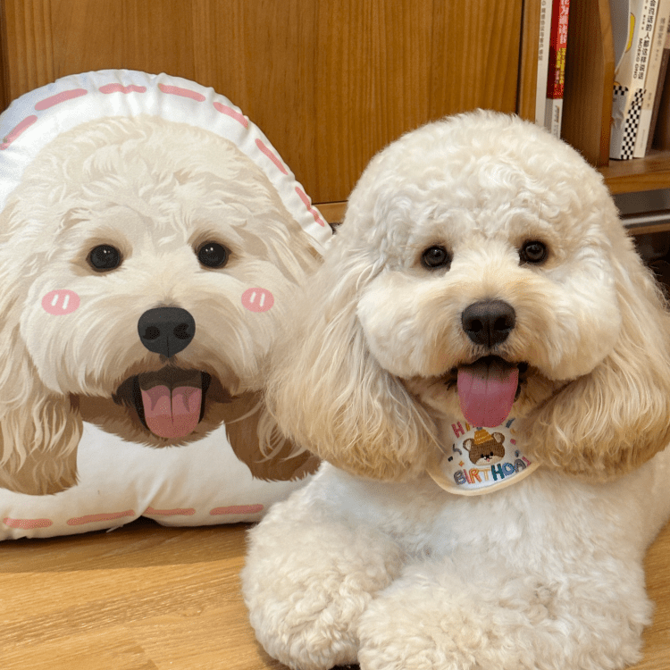 Pet custom peripheral pillow, irregular shape, cute double - sided original design, cat and dog gifts - OOOMG