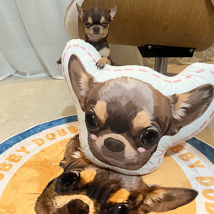 Pet custom peripheral pillow, irregular shape, cute double - sided original design, cat and dog gifts - OOOMG