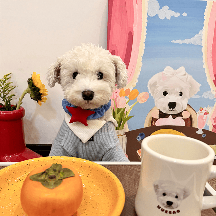 Pet custom peripherals original design decorative paintings, hanging paintings, waterproof art, microspray cats and dogs creative gifts - OOOMG