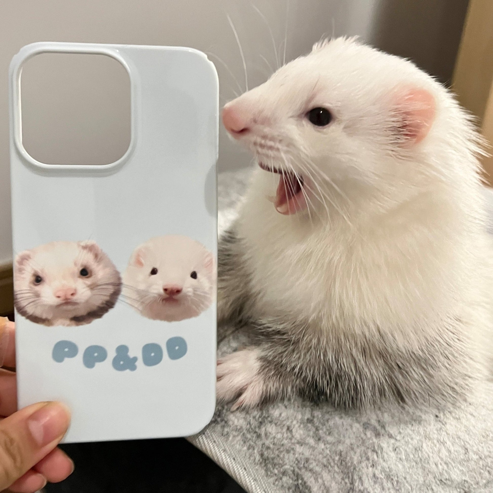 Pet custom peripherals original design niche film phone case texture cat dog creative gifts - OOOMG
