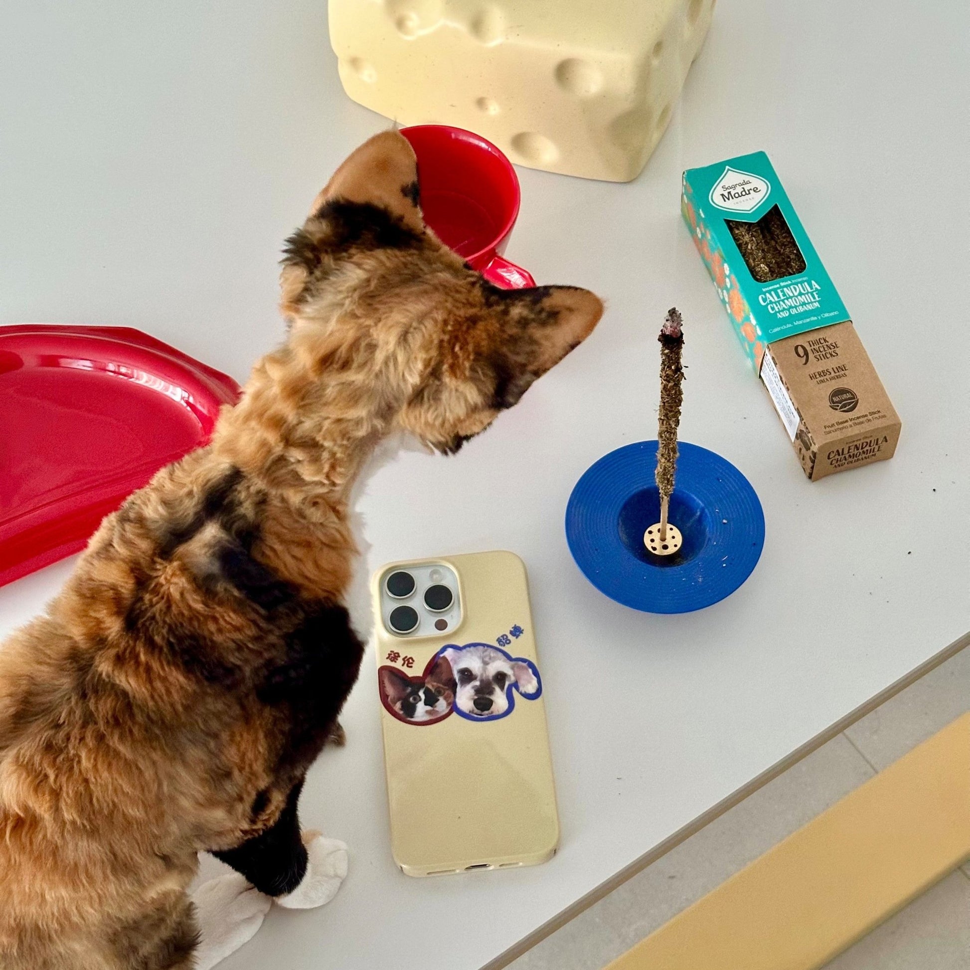 Pet custom peripherals original design niche film phone case texture cat dog creative gifts - OOOMG