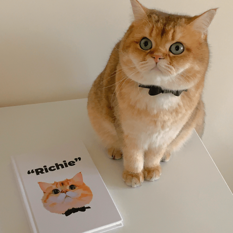 Pet custom peripherals original design notepad notes diary cats and dogs creative gifts - OOOMG