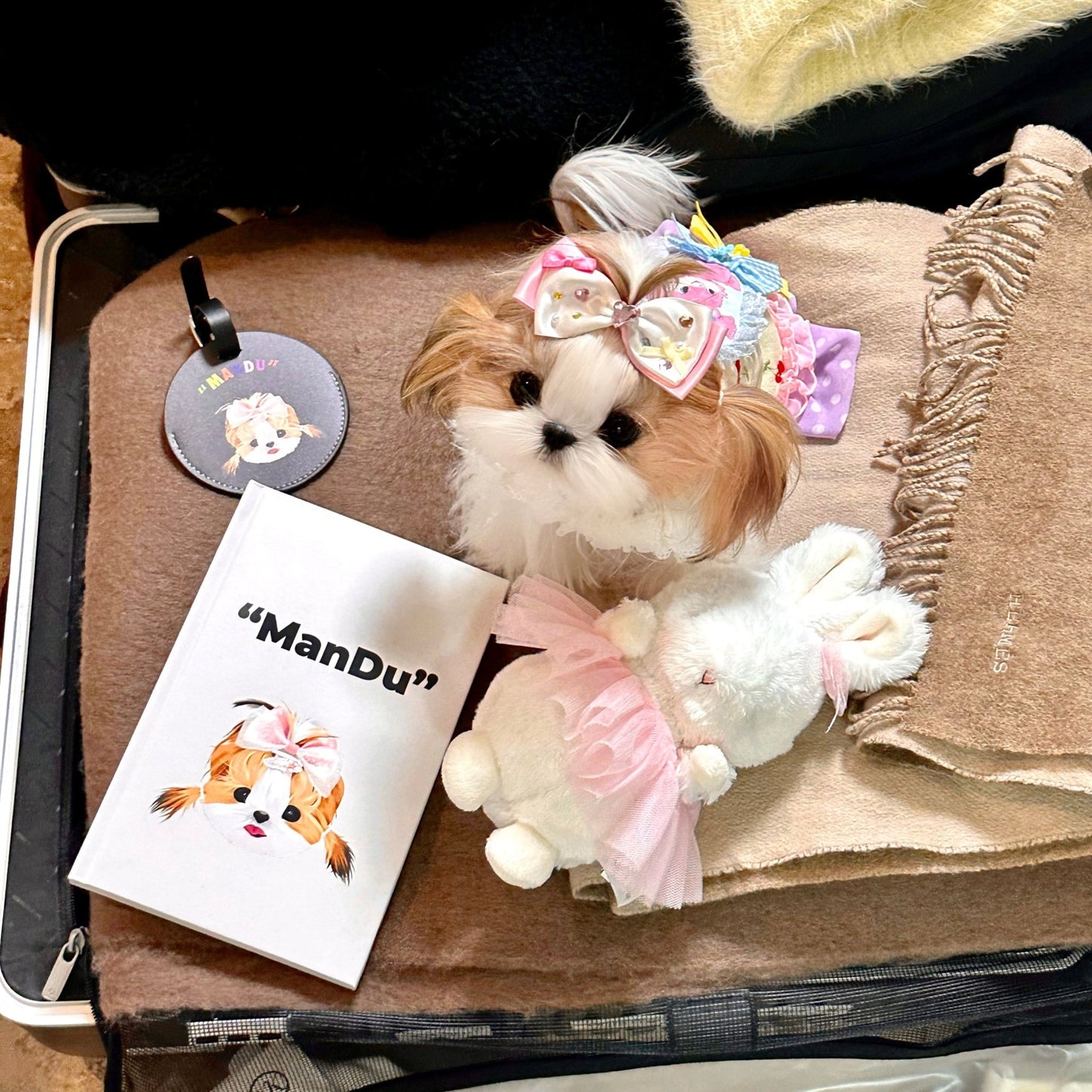 Pet custom peripherals original design notepad notes diary cats and dogs creative gifts - OOOMG