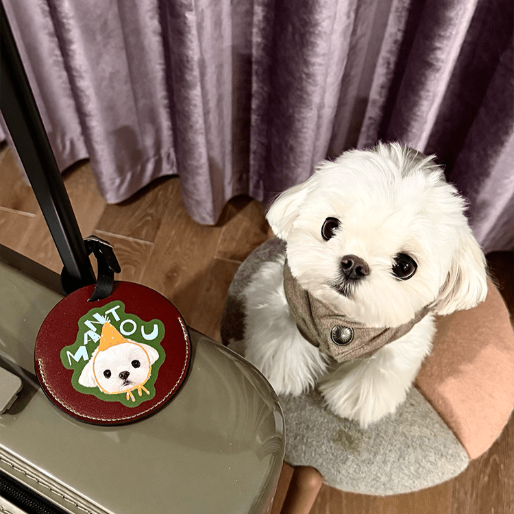 Pet custom peripherals original design travel boarding pass luggage tag cat dog creative gifts - OOOMG