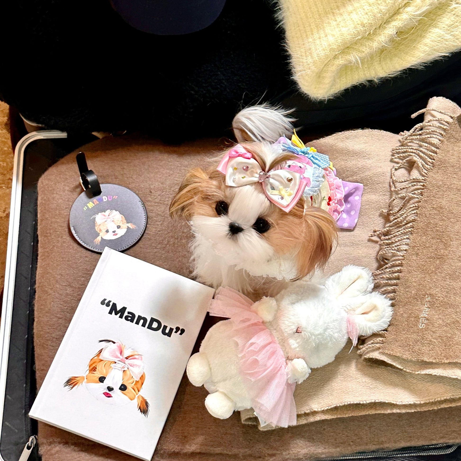 Pet custom peripherals original design travel boarding pass luggage tag cat dog creative gifts - OOOMG