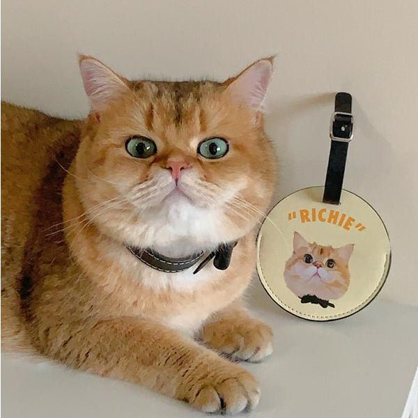Pet custom peripherals original design travel boarding pass luggage tag cat dog creative gifts - OOOMG