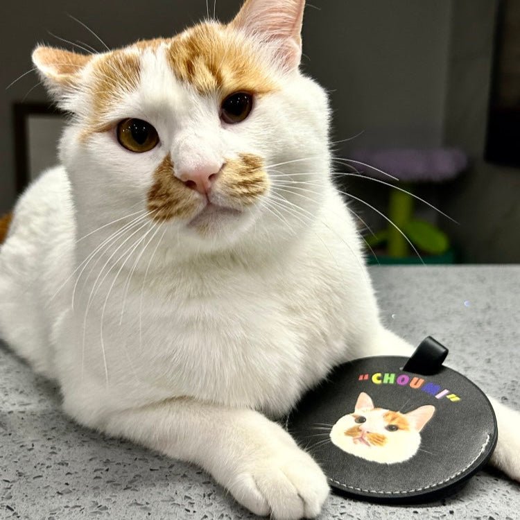 Pet custom peripherals original design travel boarding pass luggage tag cat dog creative gifts - OOOMG