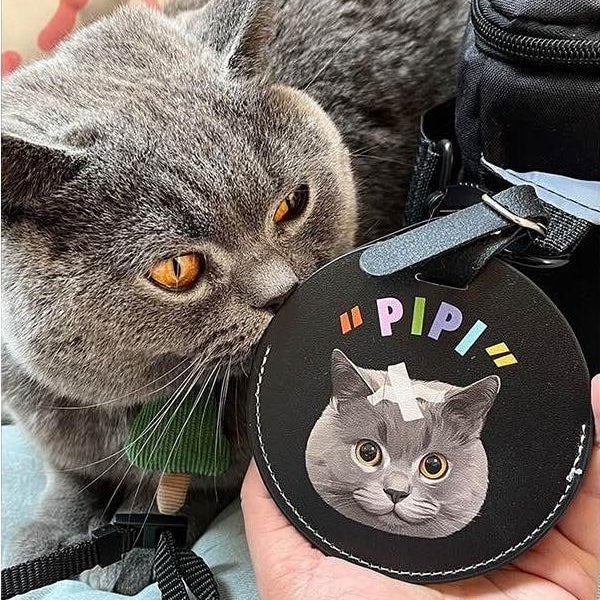 Pet custom peripherals original design travel boarding pass luggage tag cat dog creative gifts - OOOMG