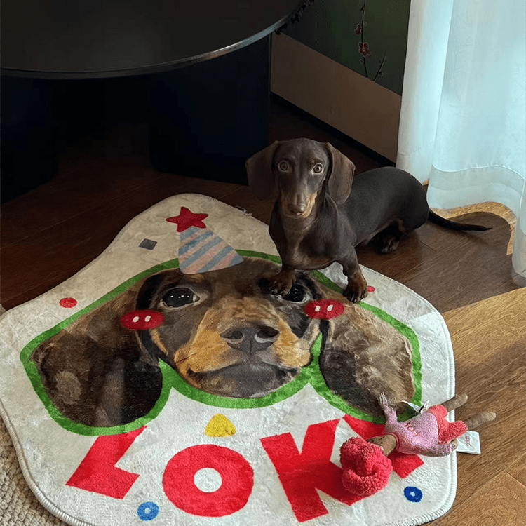 Pet custom shaped carpet milk velvet bedroom living room room cat dog creative gifts - OOOMG