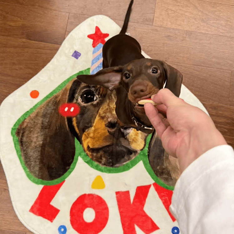 Pet custom shaped carpet milk velvet bedroom living room room cat dog creative gifts - OOOMG