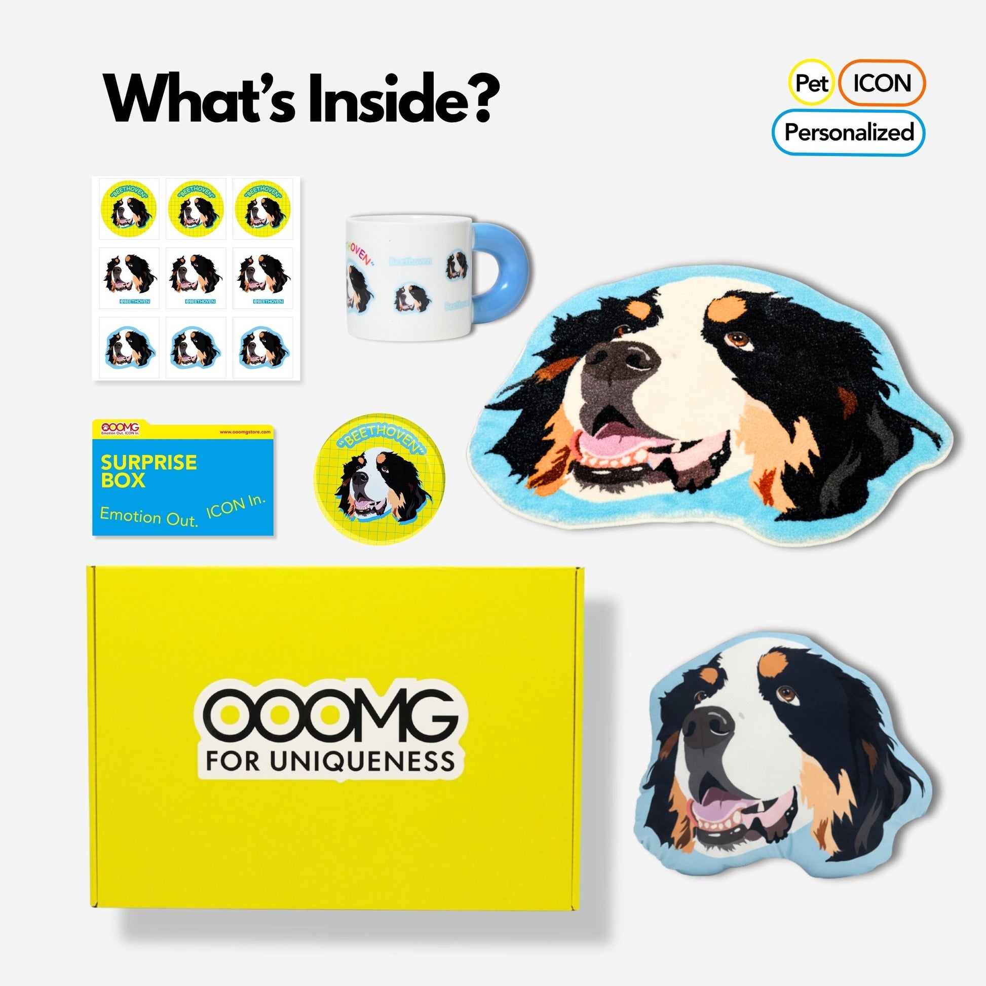 Custom Gift Set for Pets Box B - “Pawfect Home Decor” - OOOMG