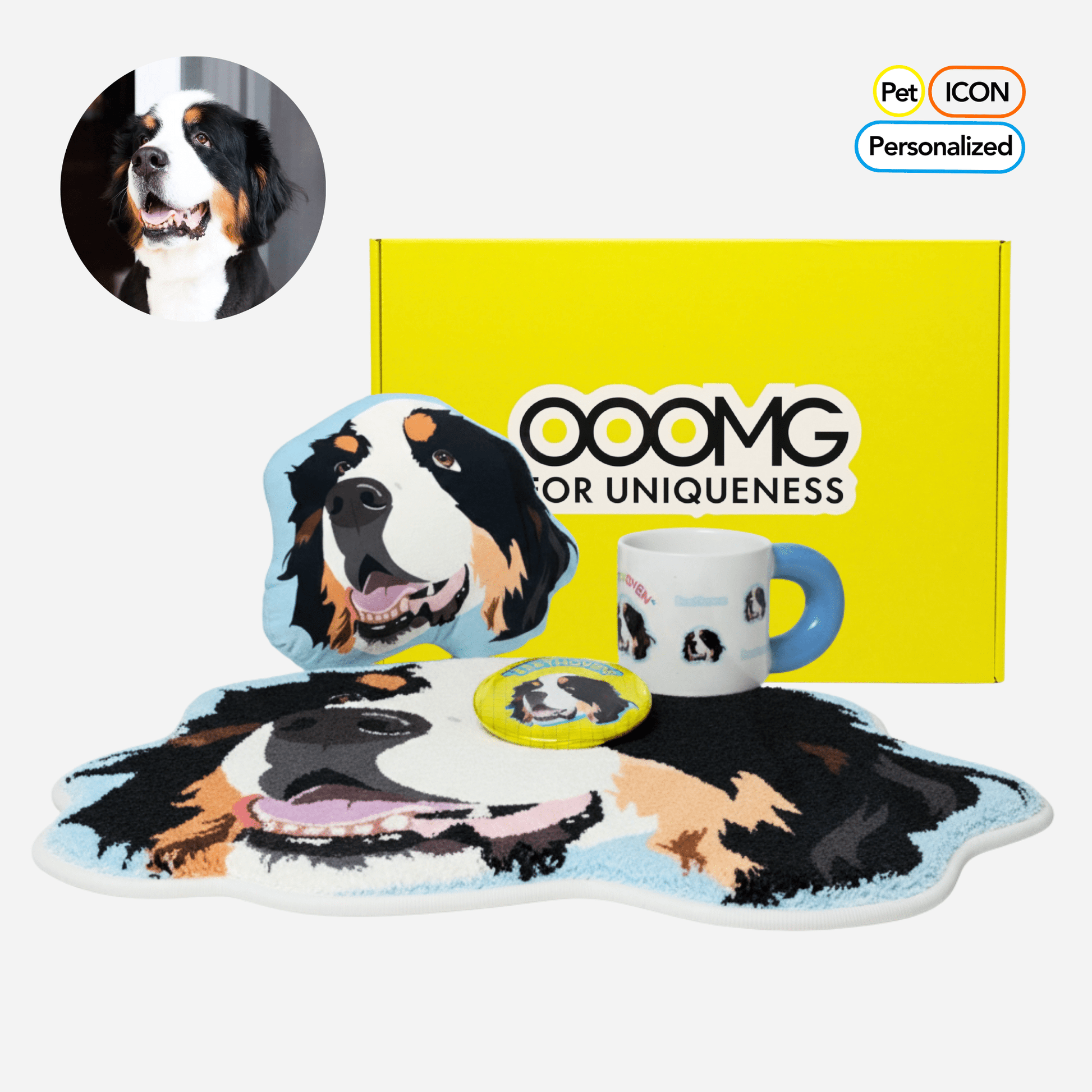 Custom Gift Set for Pets Box B - “Pawfect Home Decor” - OOOMG