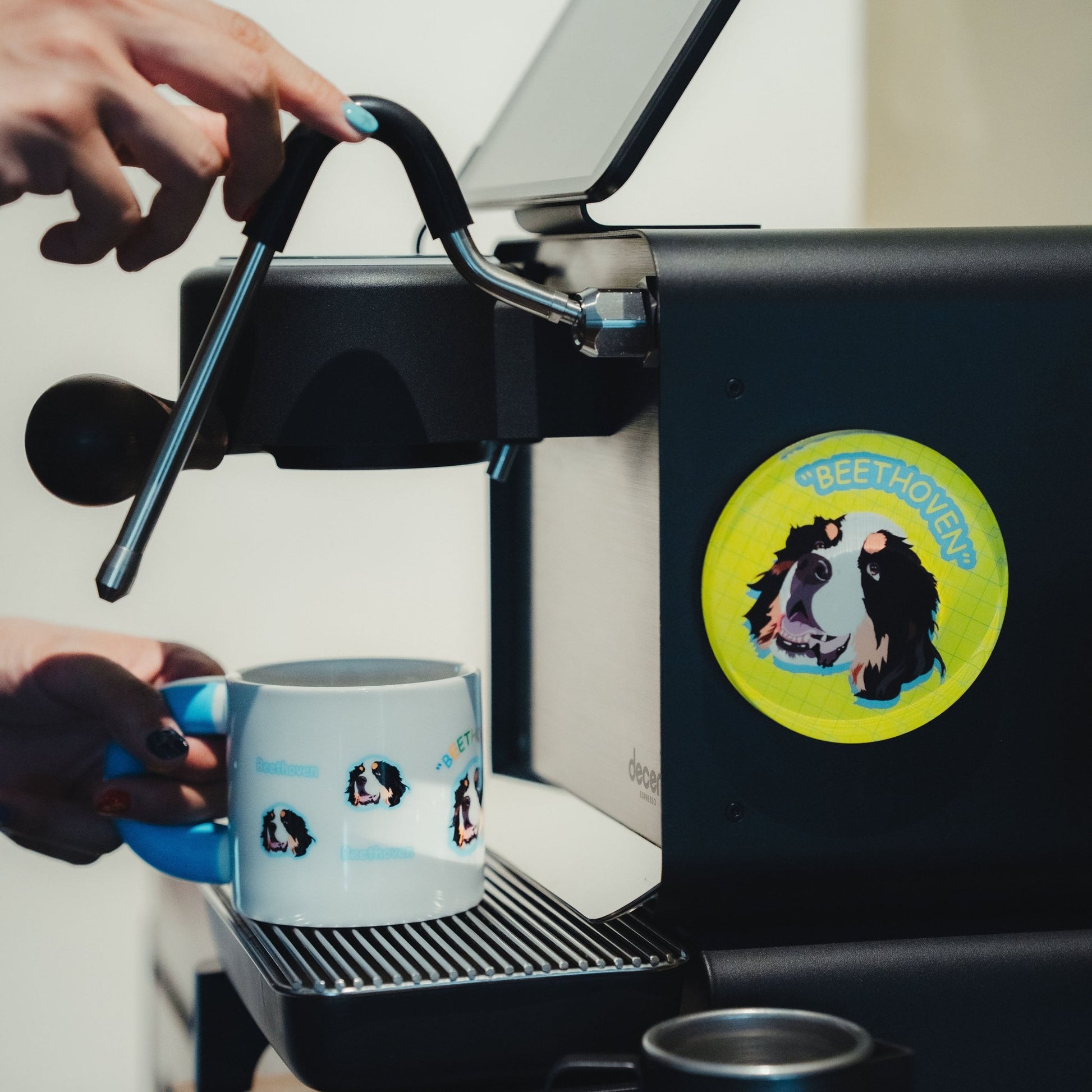 Custom Gift Set for Pets Box B - “Pawfect Home Decor” - OOOMG