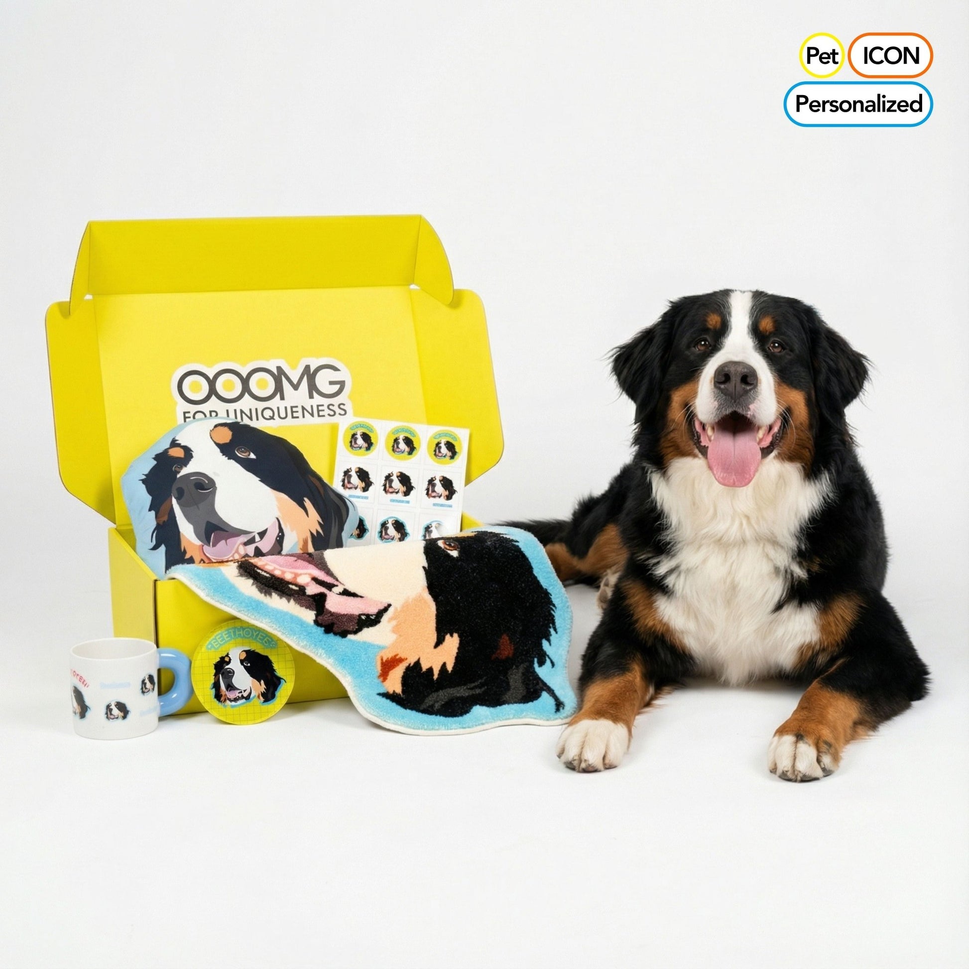 Custom Gift Set for Pets Box B - “Pawfect Home Decor” - OOOMG