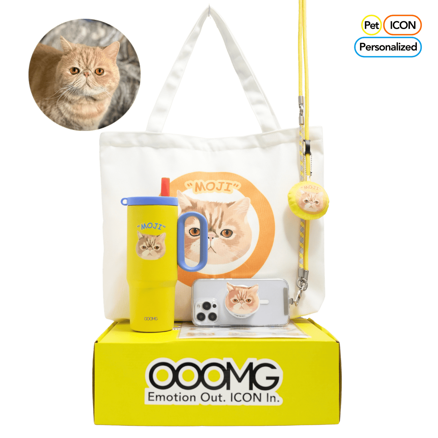 Custom Gift Set for Pets Box C - “The Pawsome Commuter Kit” - OOOMG