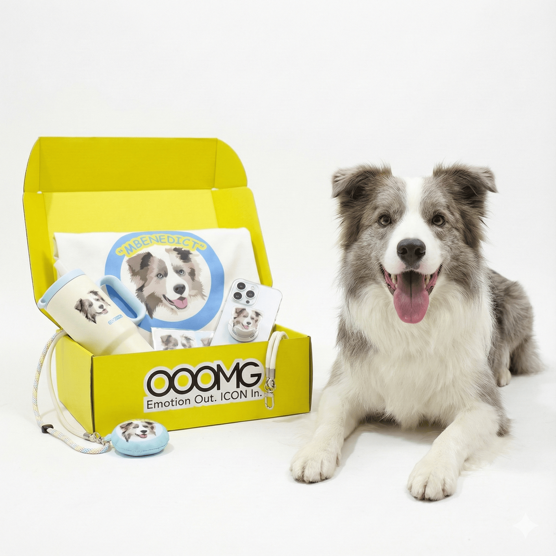 Custom Gift Set for Pets Box C - “The Pawsome Commuter Kit” - OOOMG