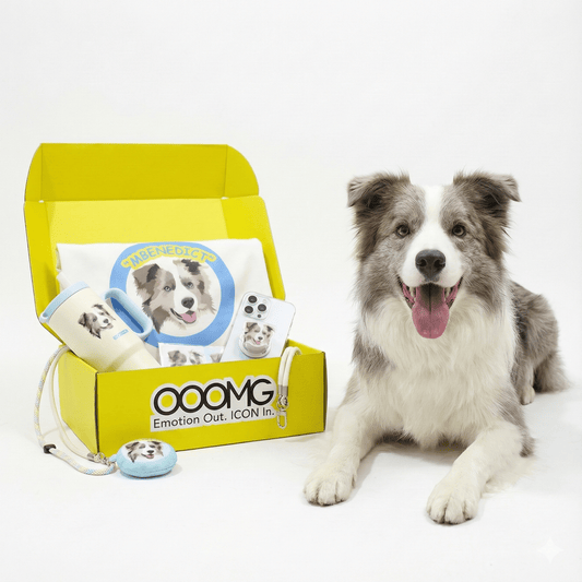 Custom Gift Set for Pets Box C - “The Pawsome Commuter Kit” - OOOMG