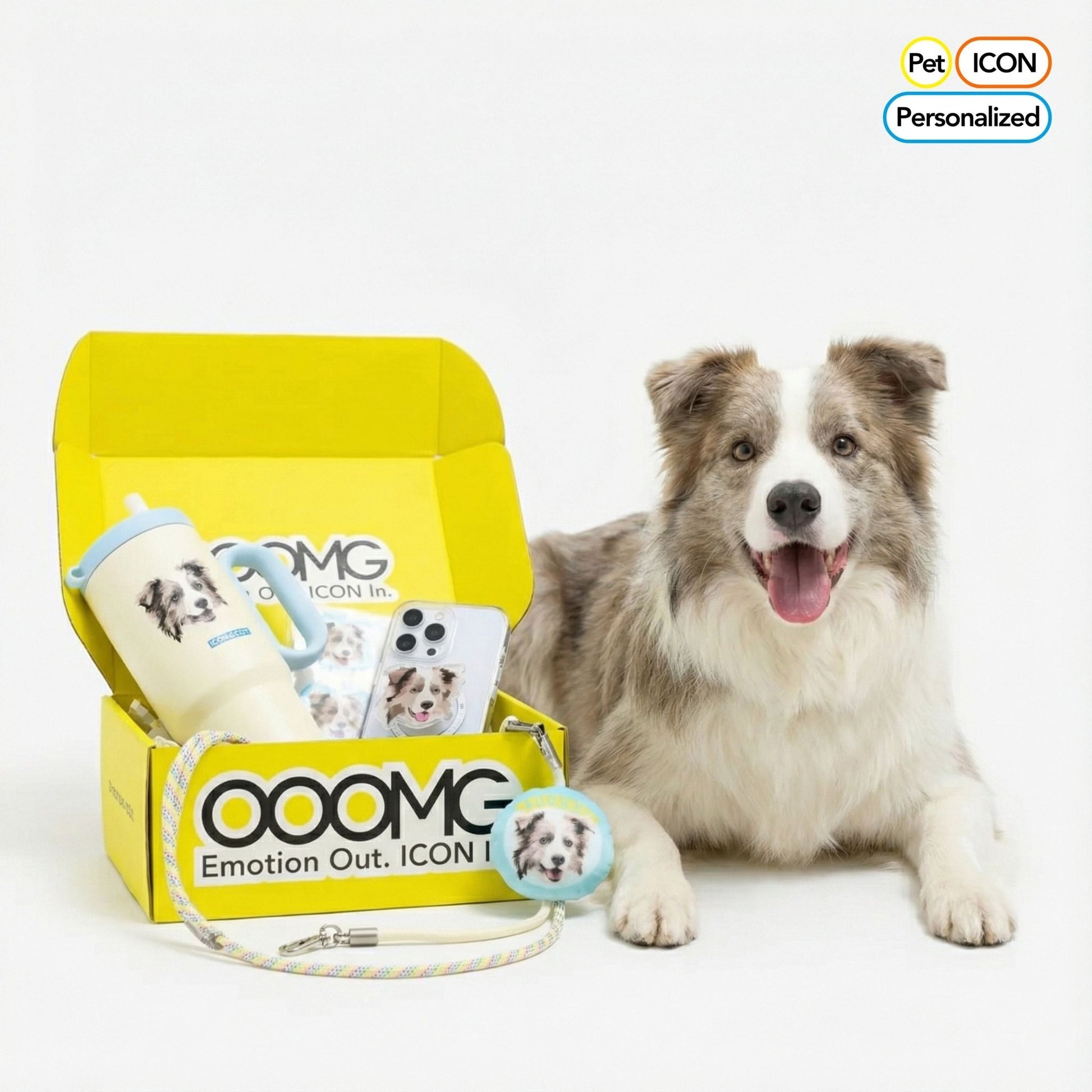 Custom Gift Set for Pets Box D - “Pocket - Less Power Pack” - OOOMG