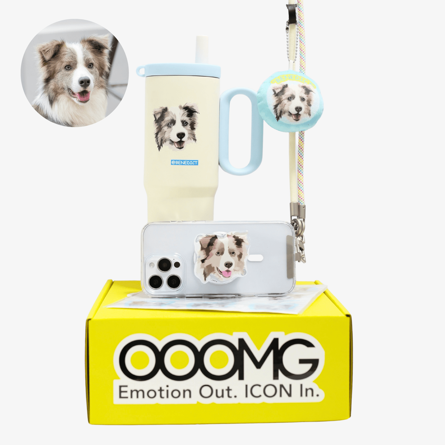 Custom Gift Set for Pets Box D - “Pocket - Less Power Pack” - OOOMG
