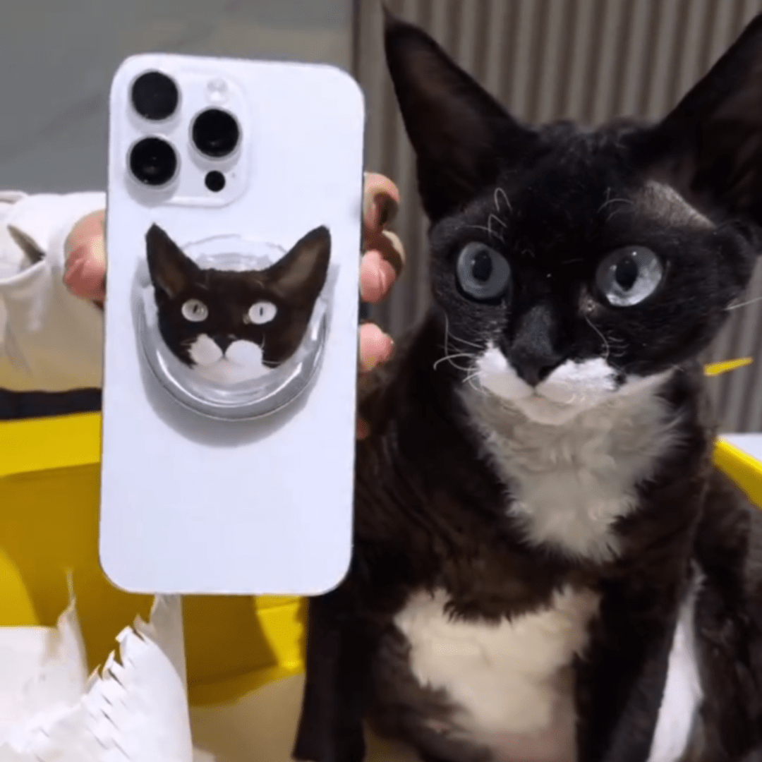 Pet custom mobile phone airbag holder handmade glue high transparency texture paste magnetic cat and dog gifts - OOOMG