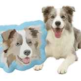 Custom shaped pet peripheral pillow with a cute double-sided original design, perfect as a personalized gift for cat and dog owners.
