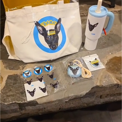 Custom Gift Set for Pets Box E - “The 'Tech & Tails' Kit”