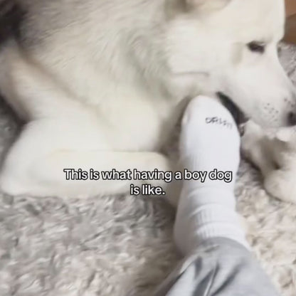 Custom Gift Set for Pets Box B - “Pawfect Home Decor”